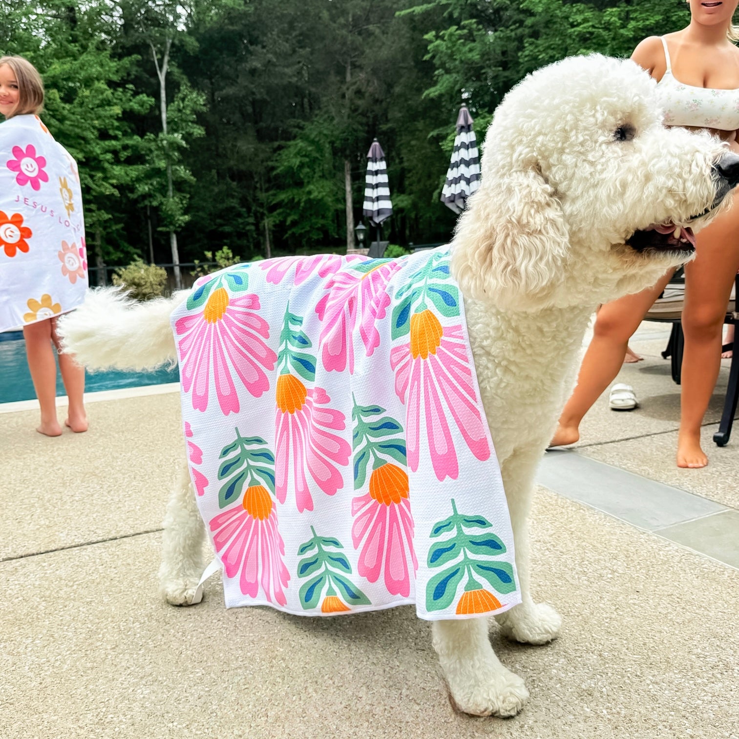 Dog with beach towel