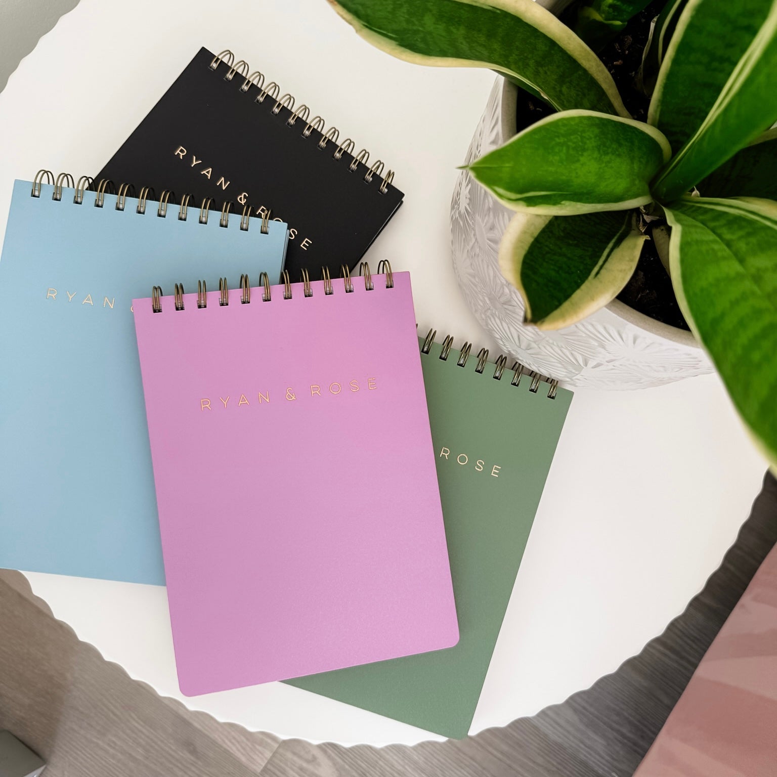 Four spiral-bound notebooks in black, blue, pink, and green on a white surface with a plant in the background.
