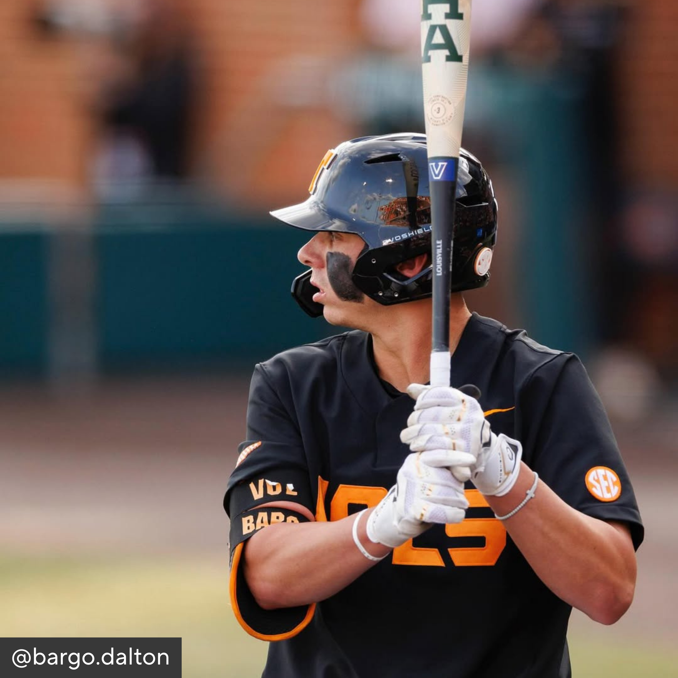 Baseball player holding a bat on a field with blurred background