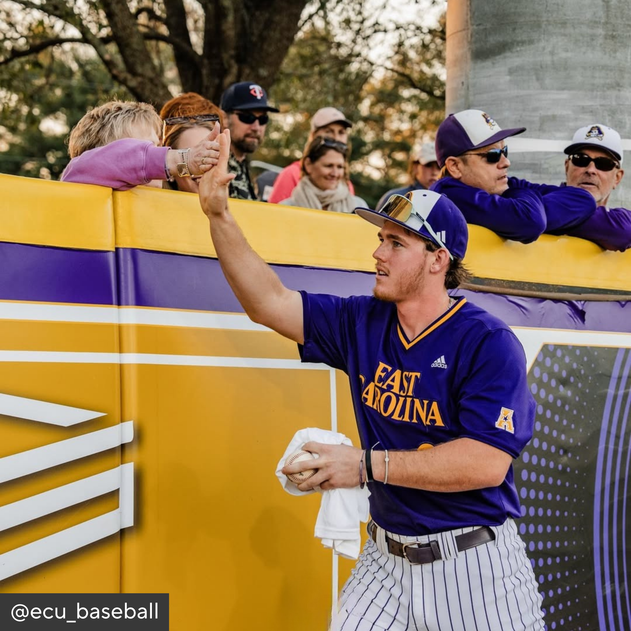 Baseball player in East Carolina uniform high-fiving fans behind a yellow wall.