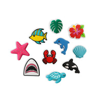 Beachy Bunch