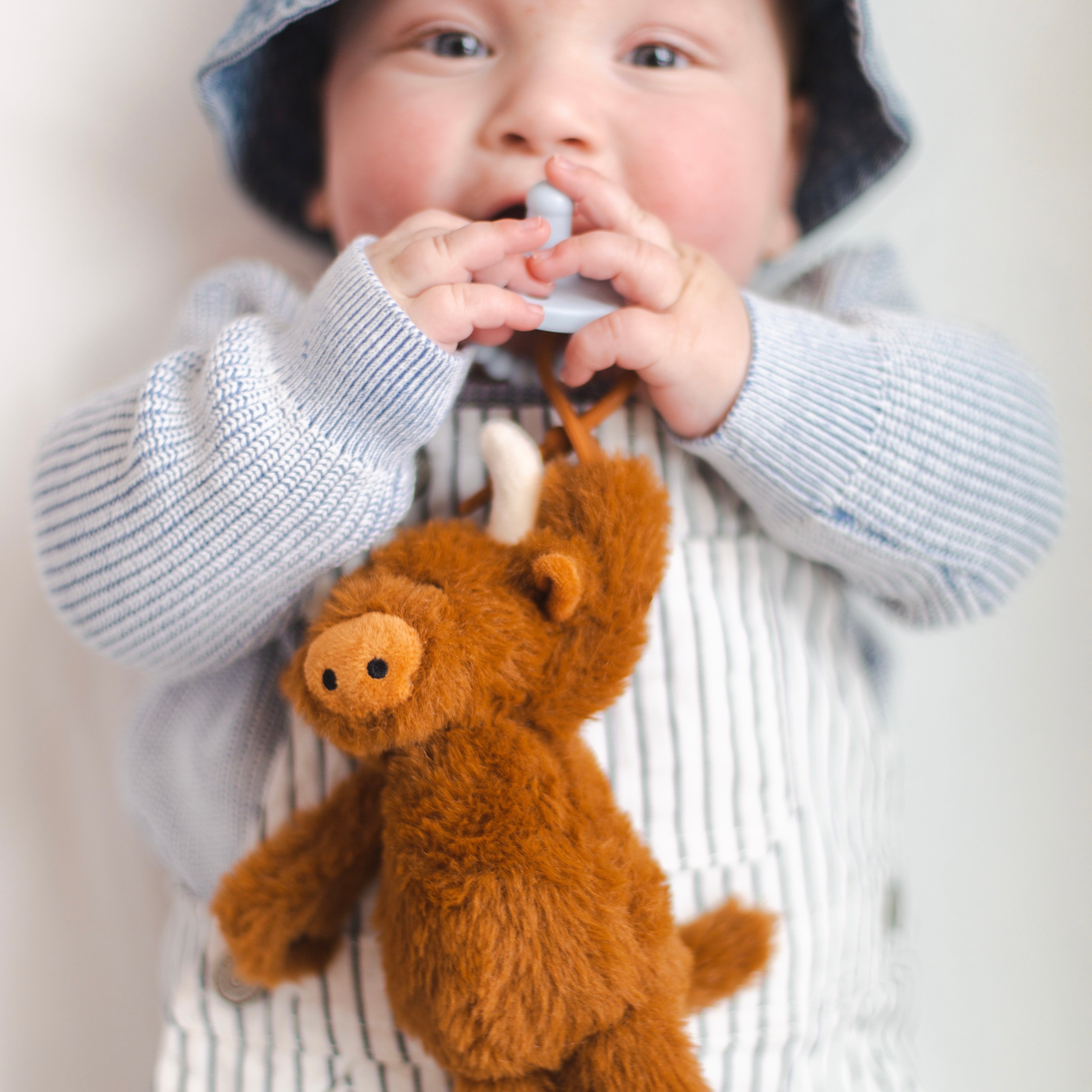 Baby with cow cuddle