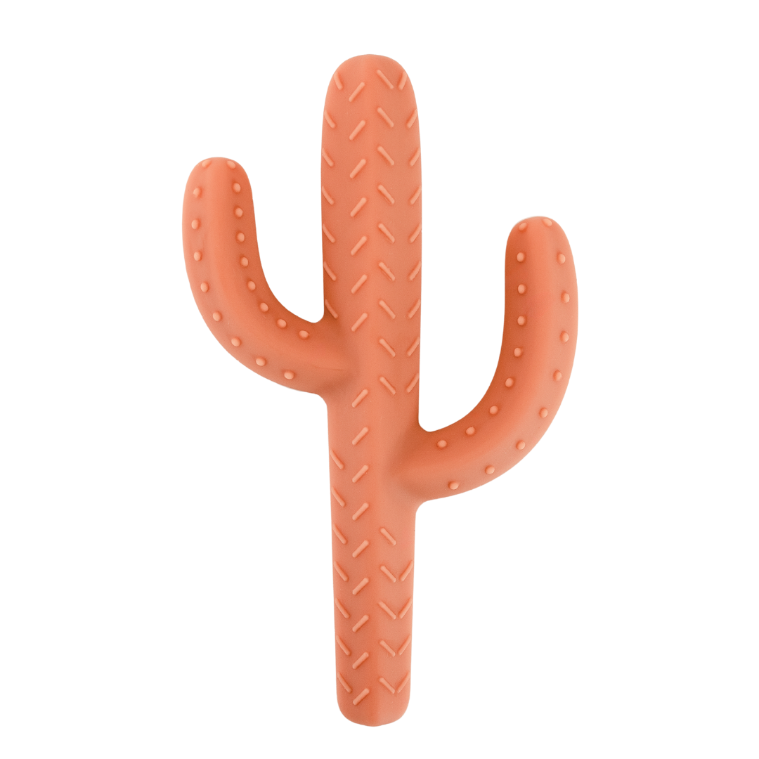 Cactus Teether Toy