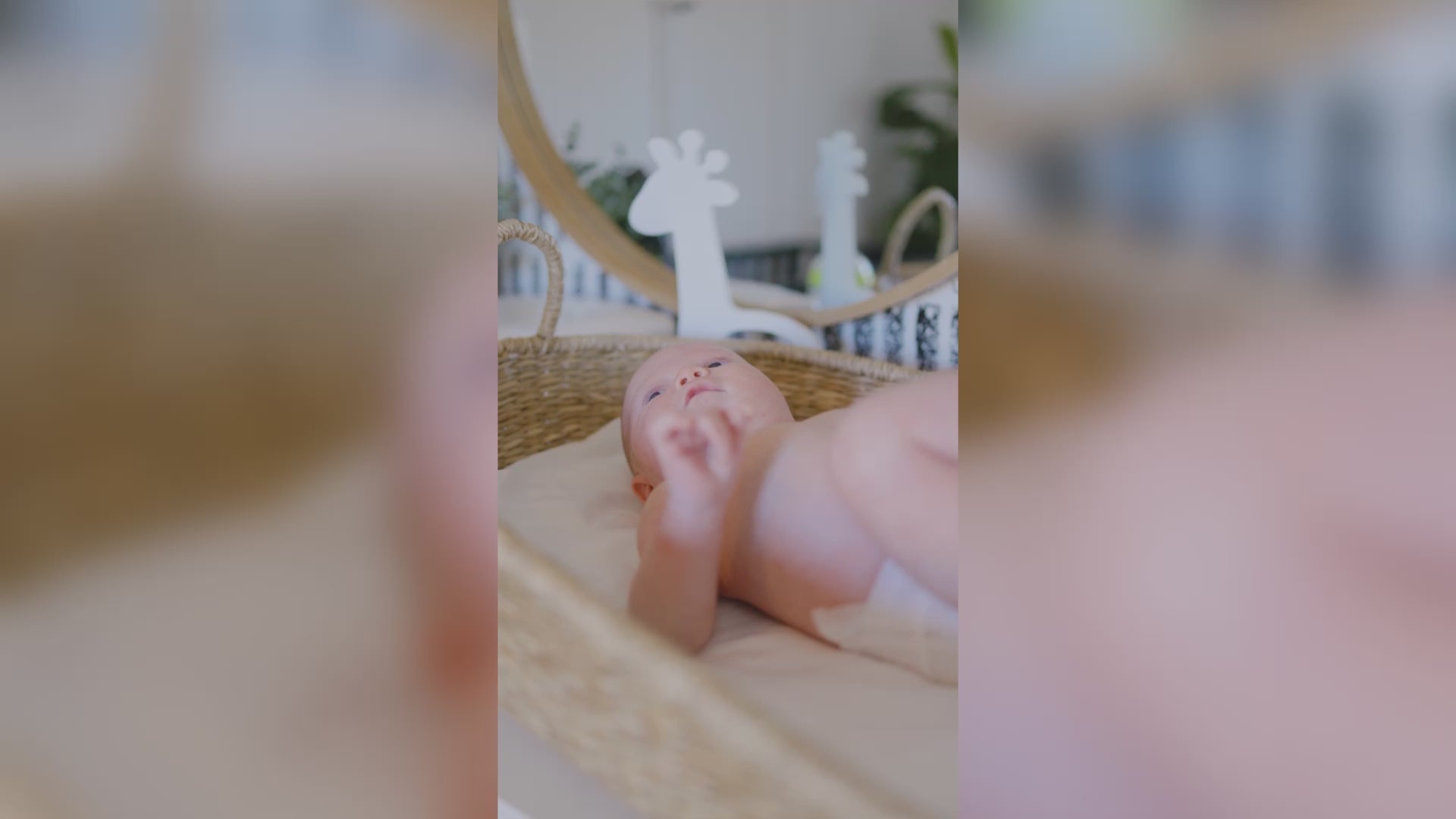 Load video: Cutie Cub video